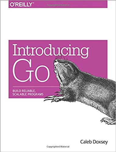 Обложка книги Introducing Go.